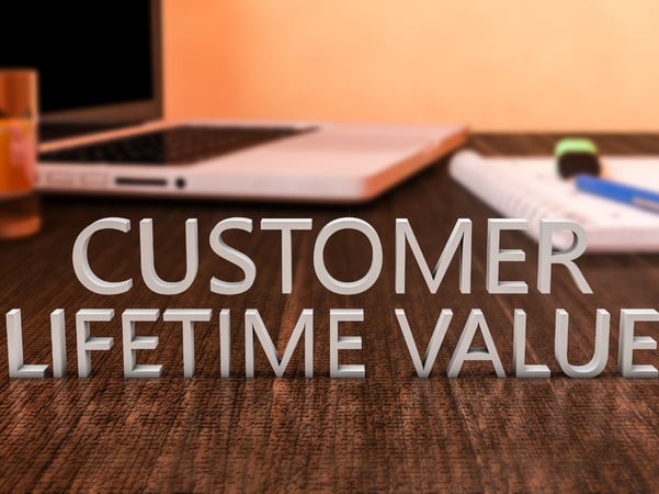 Customer life value text