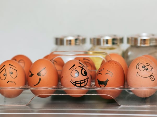 Eggs with funny faces painted on them