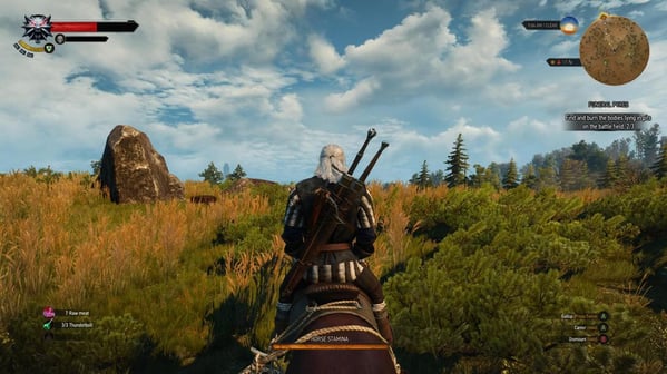 The witcher gameplay