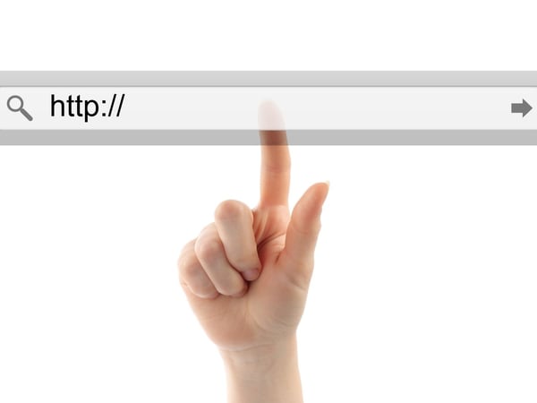 Web search bar