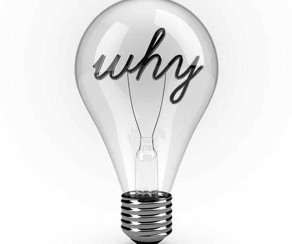 Why in a lightbulb