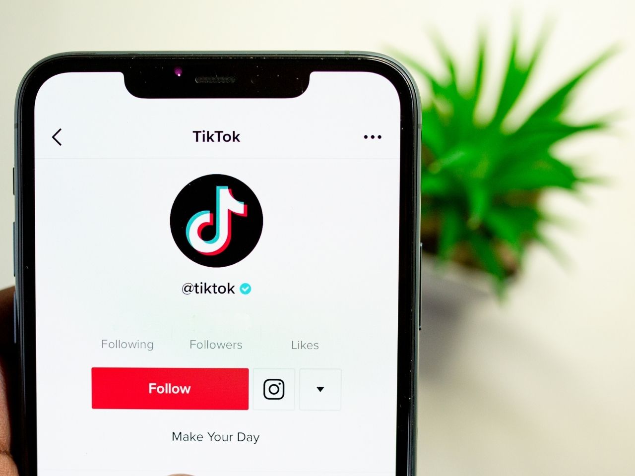 Everything You Need To Know About User-Generated Content on TikTok